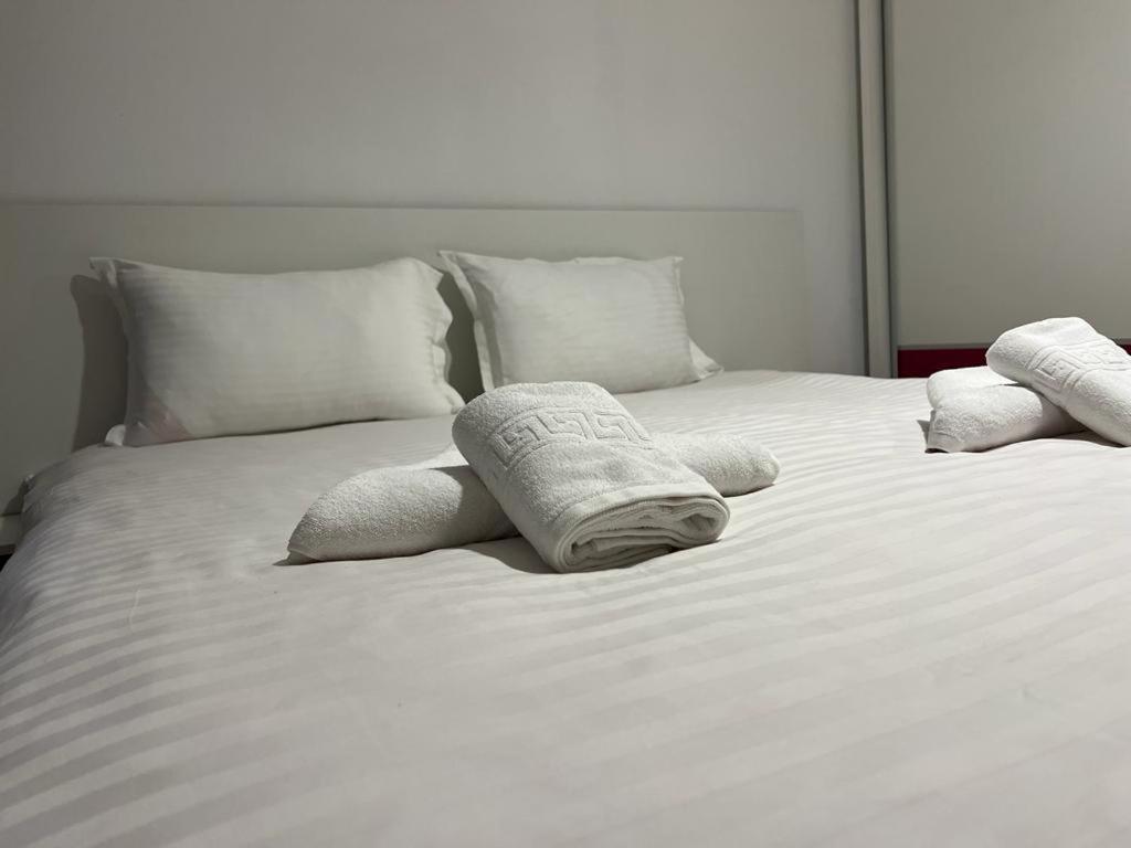 Tudor Central Apartment Mihai Viteazu Square Kluż-Napoka Zewnętrze zdjęcie