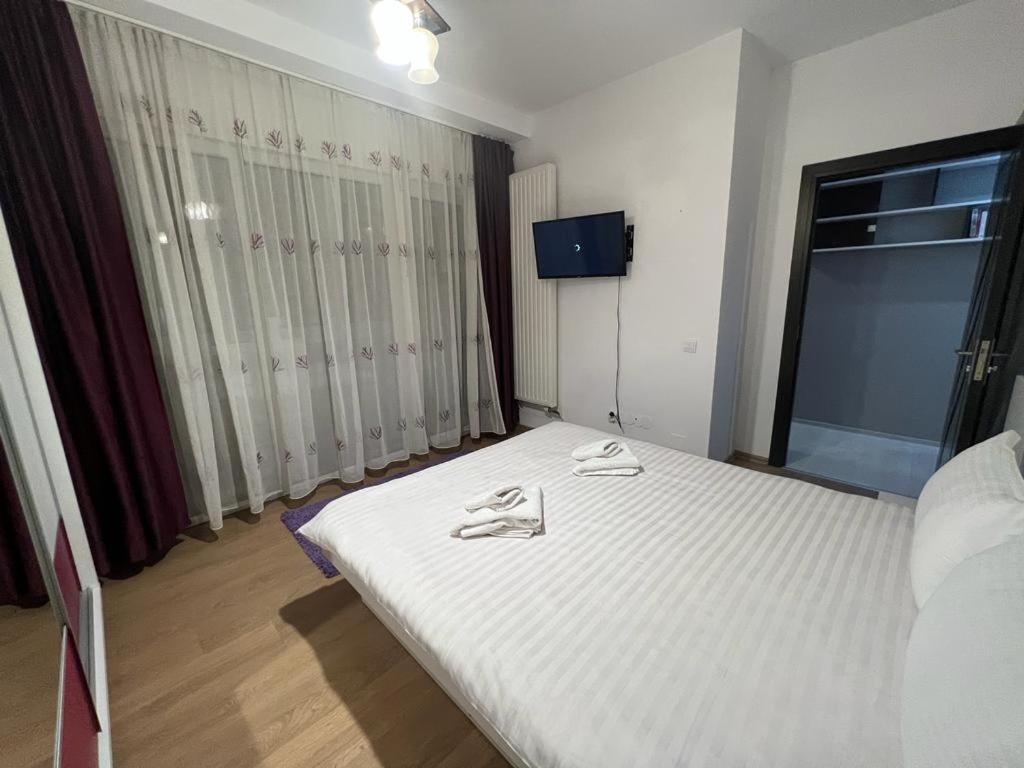 Tudor Central Apartment Mihai Viteazu Square Kluż-Napoka Zewnętrze zdjęcie